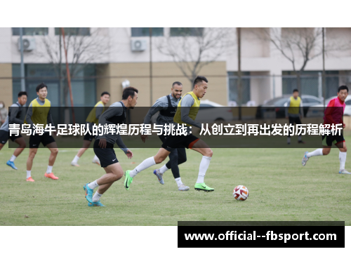 青岛海牛足球队的辉煌历程与挑战:从创立到再出发的历程解析 青岛海牛足球队的辉煌历程与挑战:从创立到再出发的历程解析