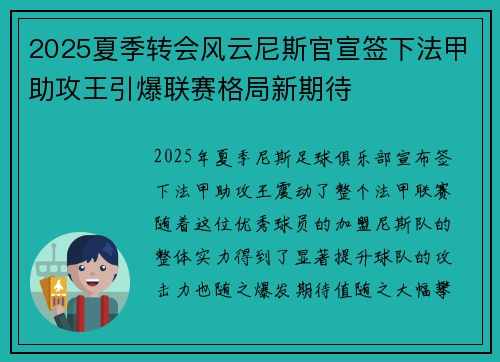 2025夏季转会风云尼斯官宣签下法甲助攻王引爆联赛格局新期待